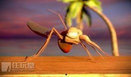 爆料大蚊子的视频大全,视频大全带你领略神秘生物世界